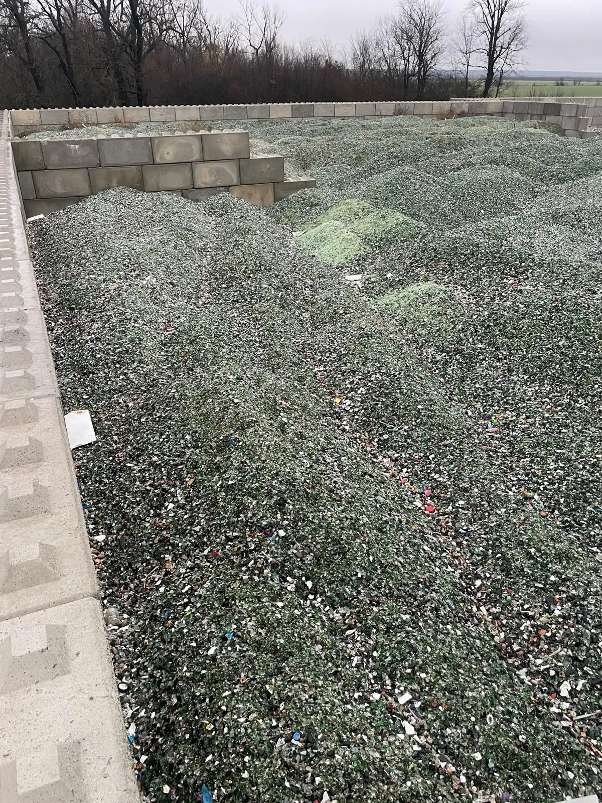 Reciclare sticla